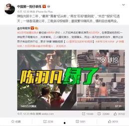 沈毅微博爆料视频大全最新,揭秘娱乐圈幕后真相