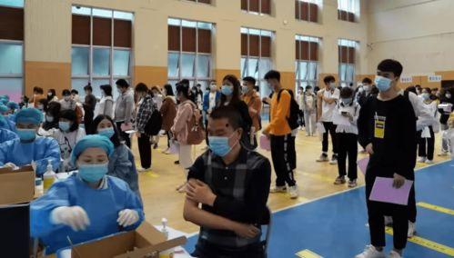 三农联盟爆料最新消息视频,揭秘农村发展新动态